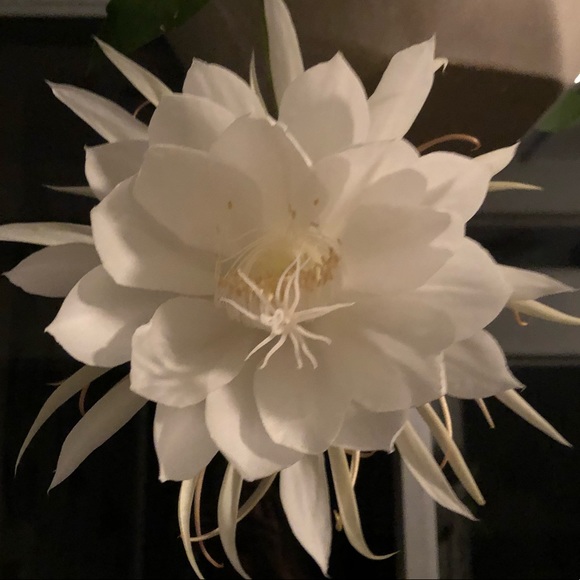 Meet your Posh Ambassador, Jenna Leigh - Picture 4 of 9